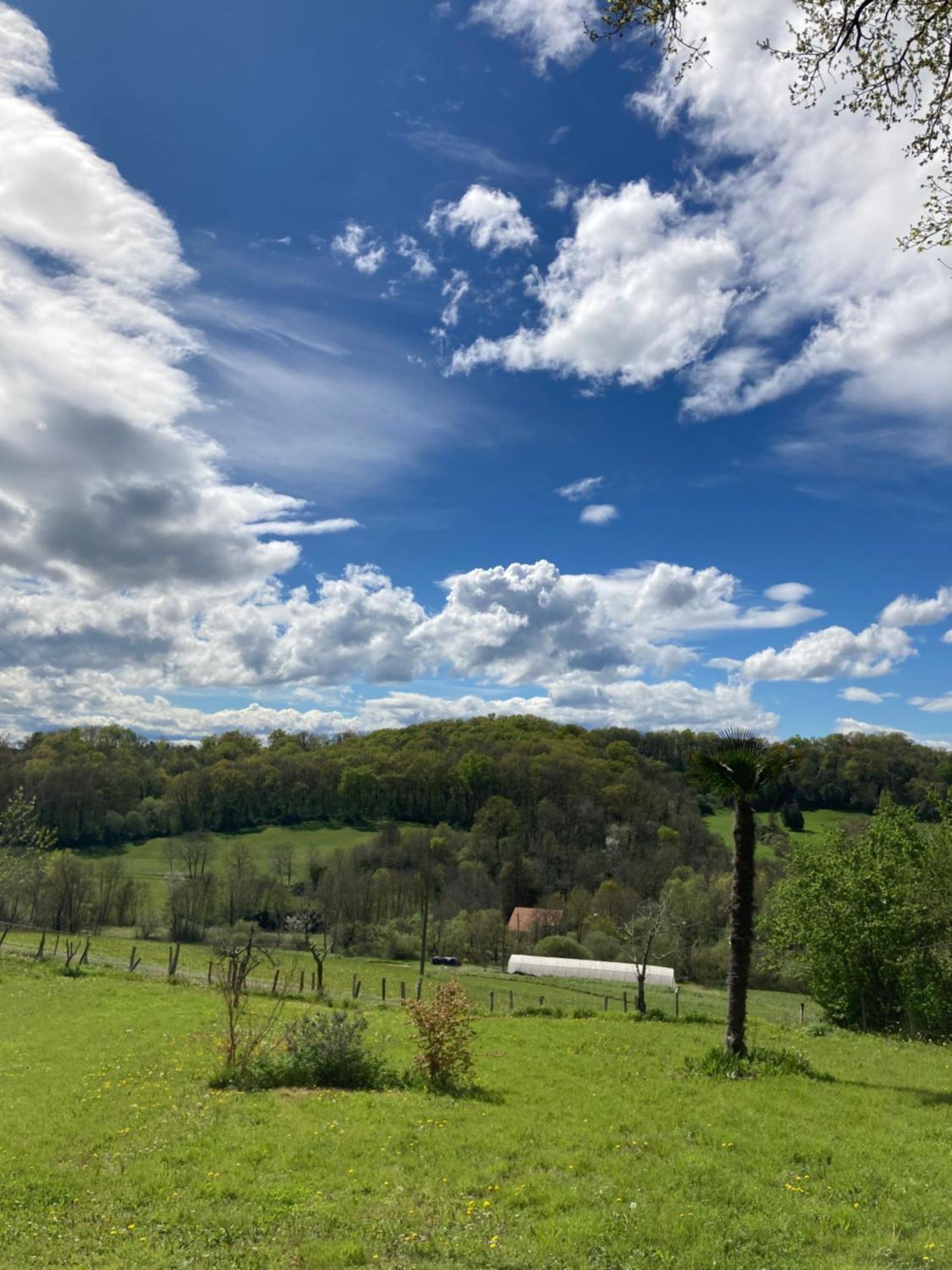 Domaine Labouroume Hotel Salies-de-Bearn Luaran gambar