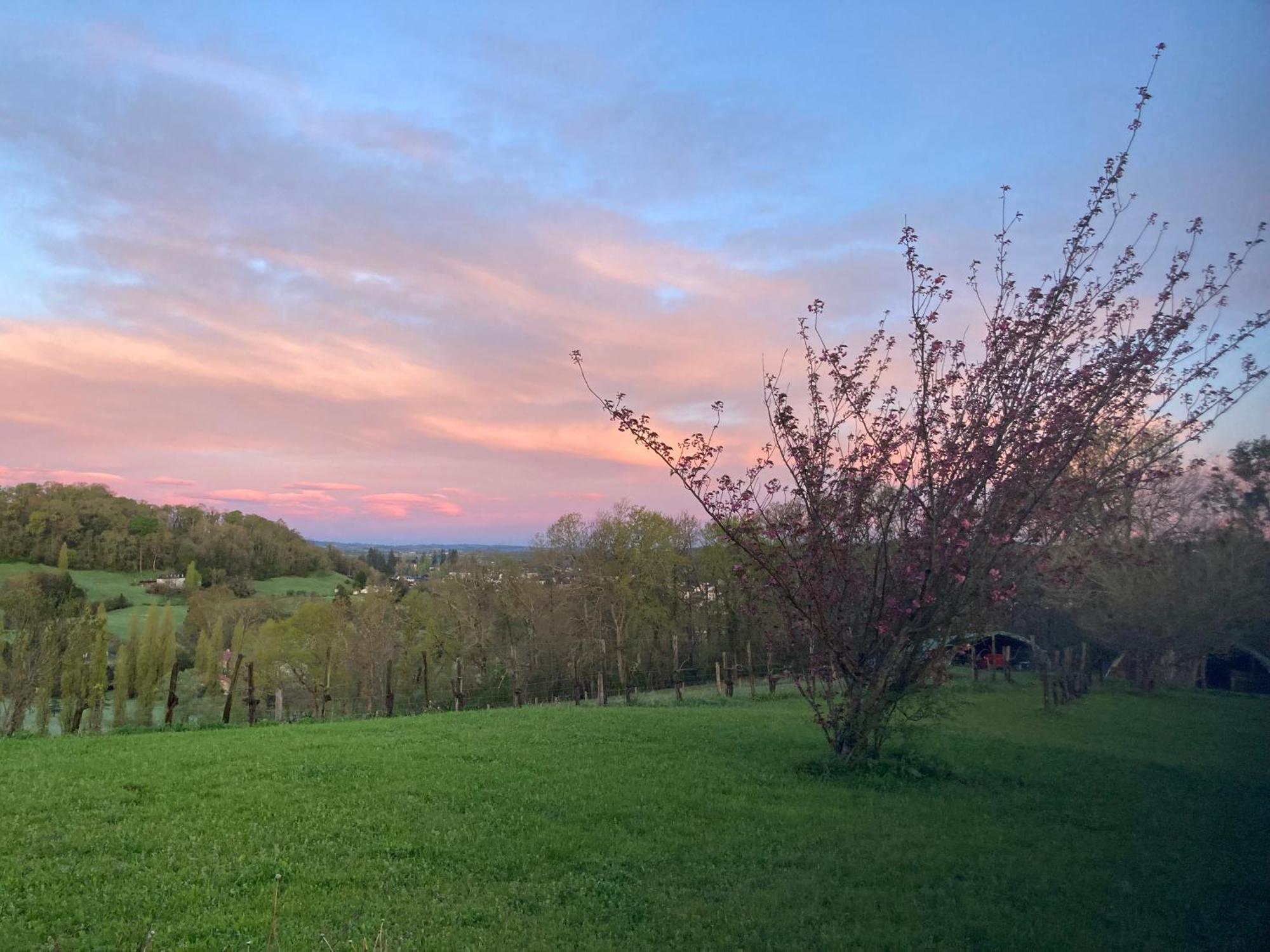 Domaine Labouroume Hotel Salies-de-Bearn Luaran gambar
