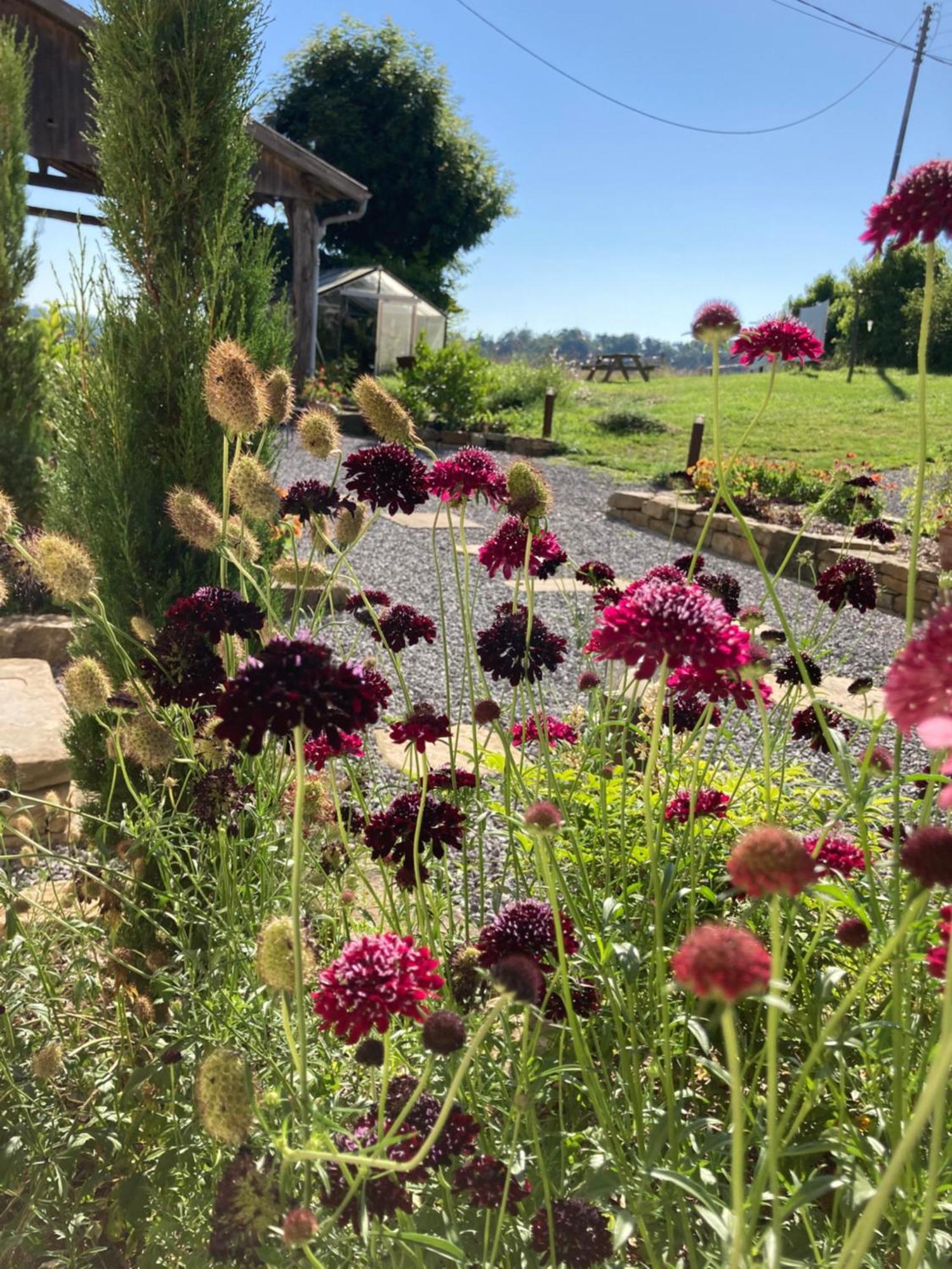 Domaine Labouroume Hotel Salies-de-Bearn Luaran gambar